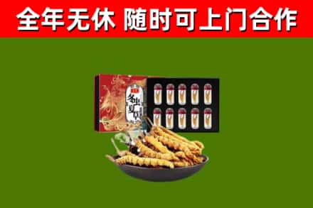 辽阳回收冬虫夏草价格
